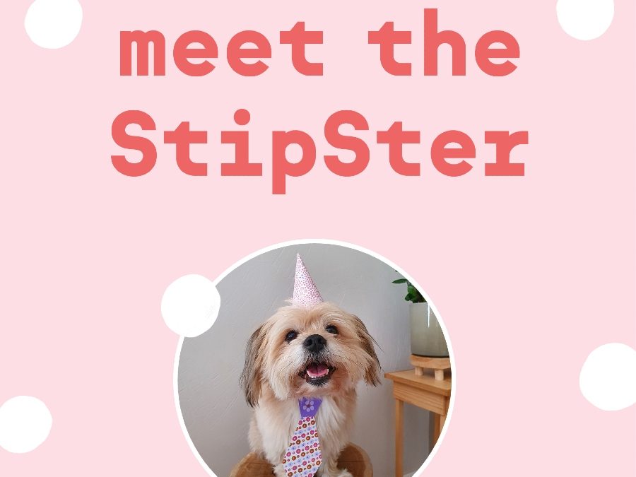 Meet the StipSterren – Yvonne, Noor (en Boef)