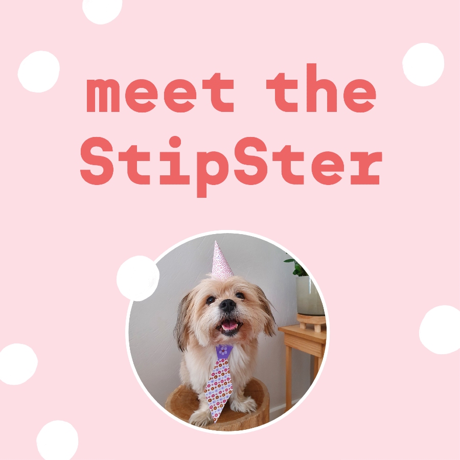 Meet the StipSterren – Yvonne, Noor (en Boef)
